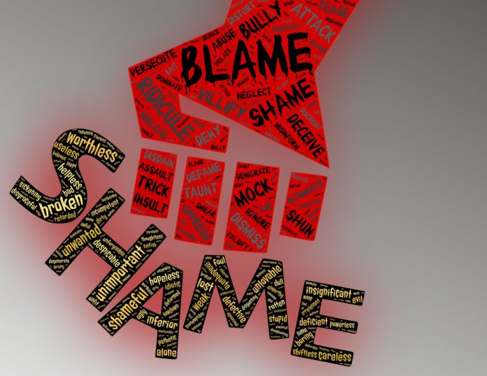 domestic abuse bill 2019
