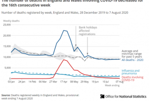 UK coronavirus death rates