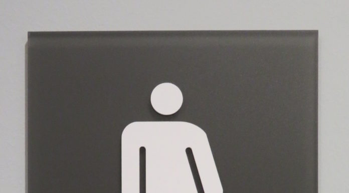gender ideology