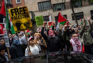 Pro-Palestine protests