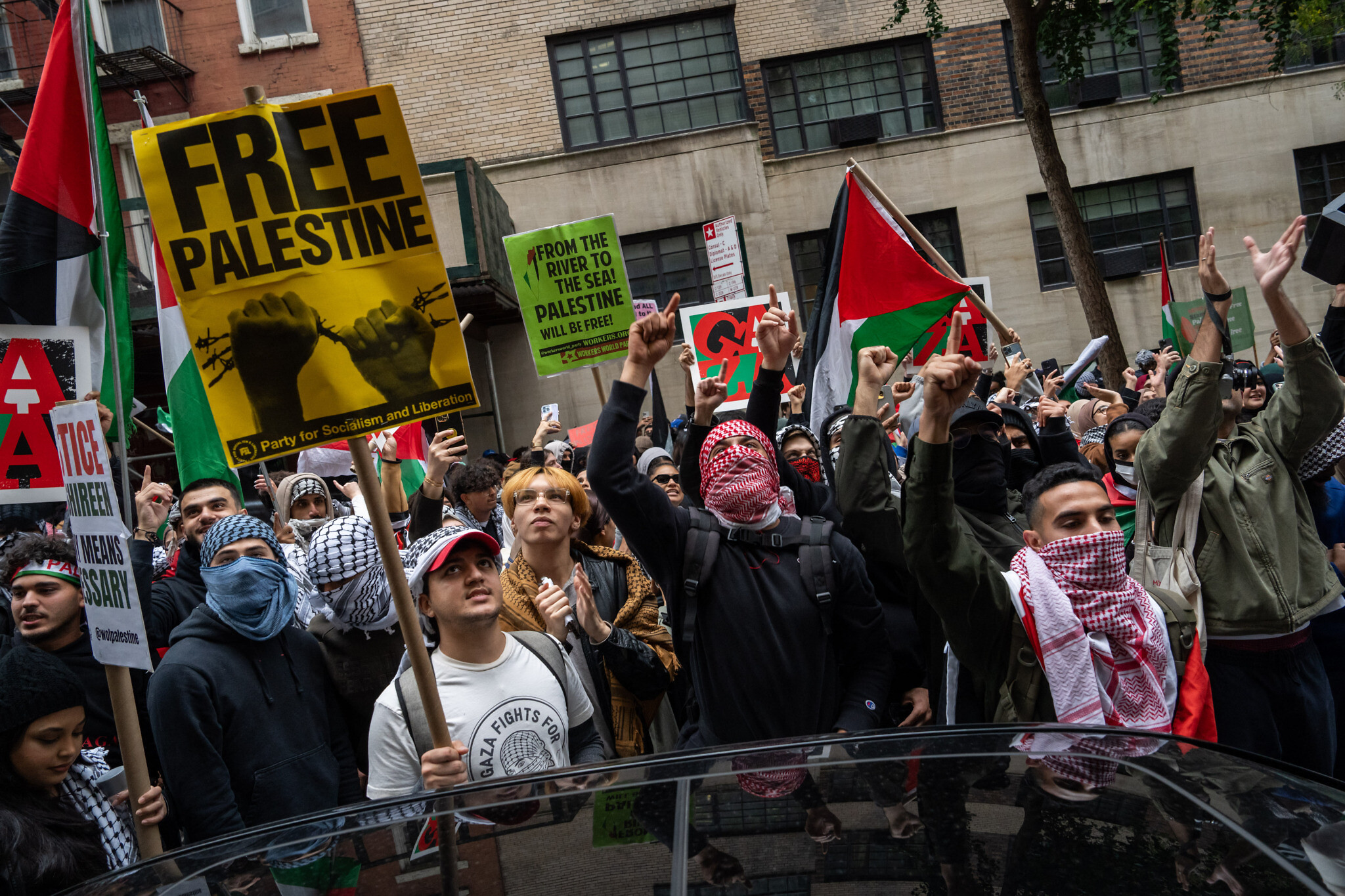 Pro-Palestine protests